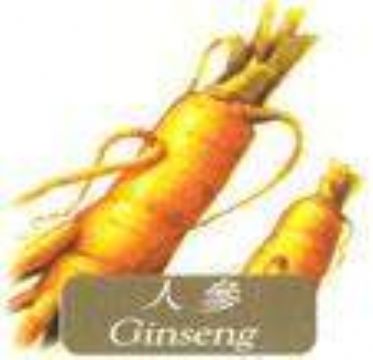  Ginseng Extract